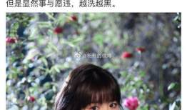 娱乐圈大瓜在哪吃,揭秘独家爆料，揭秘明星幕后故事